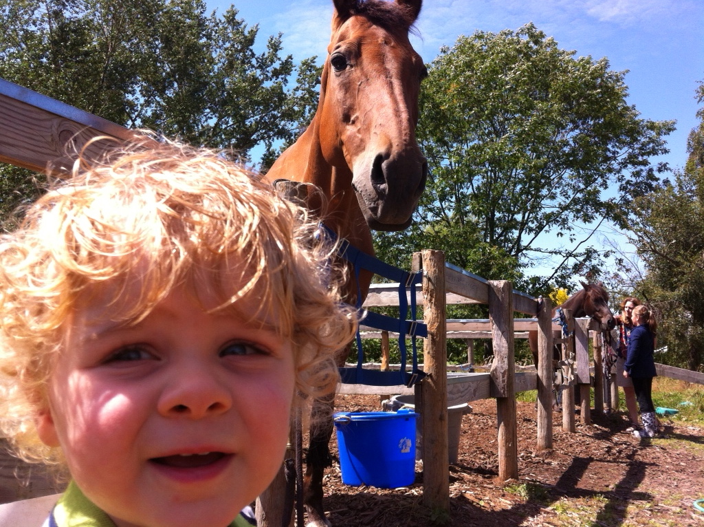 OLM and a Horse