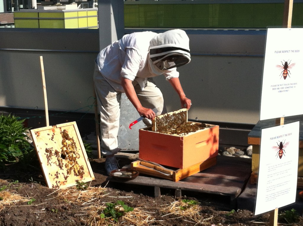 Cracking Wax on the Hive