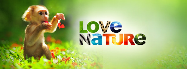 Love-Nature-Monkey-Banner