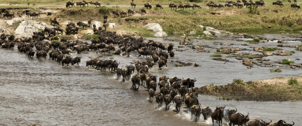 nomads-of-the-serengeti