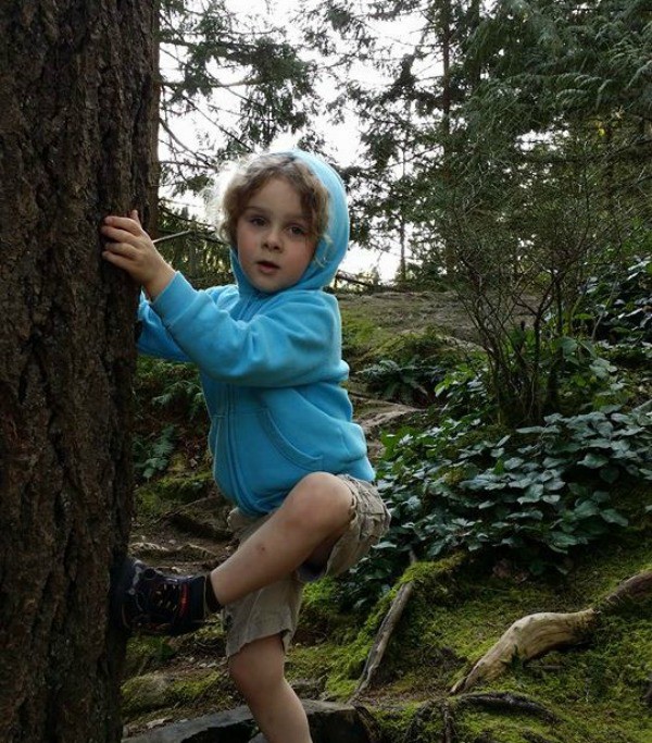 boy climbing tree