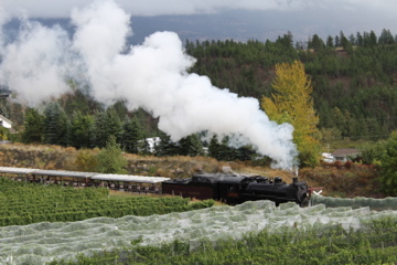 Steam Train at Dirty Laundry Winery